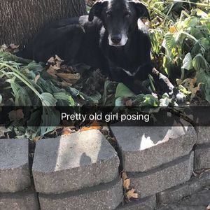 Meet your Posher, Derek